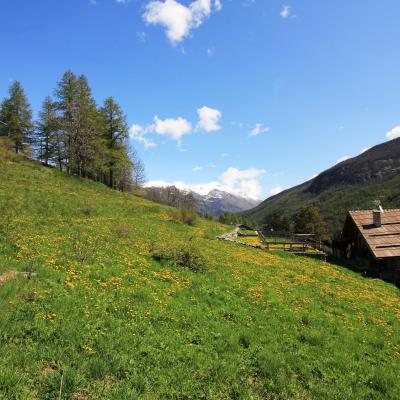 Alloggio per amanti della montagna.