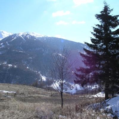 Baita da ristrutturare